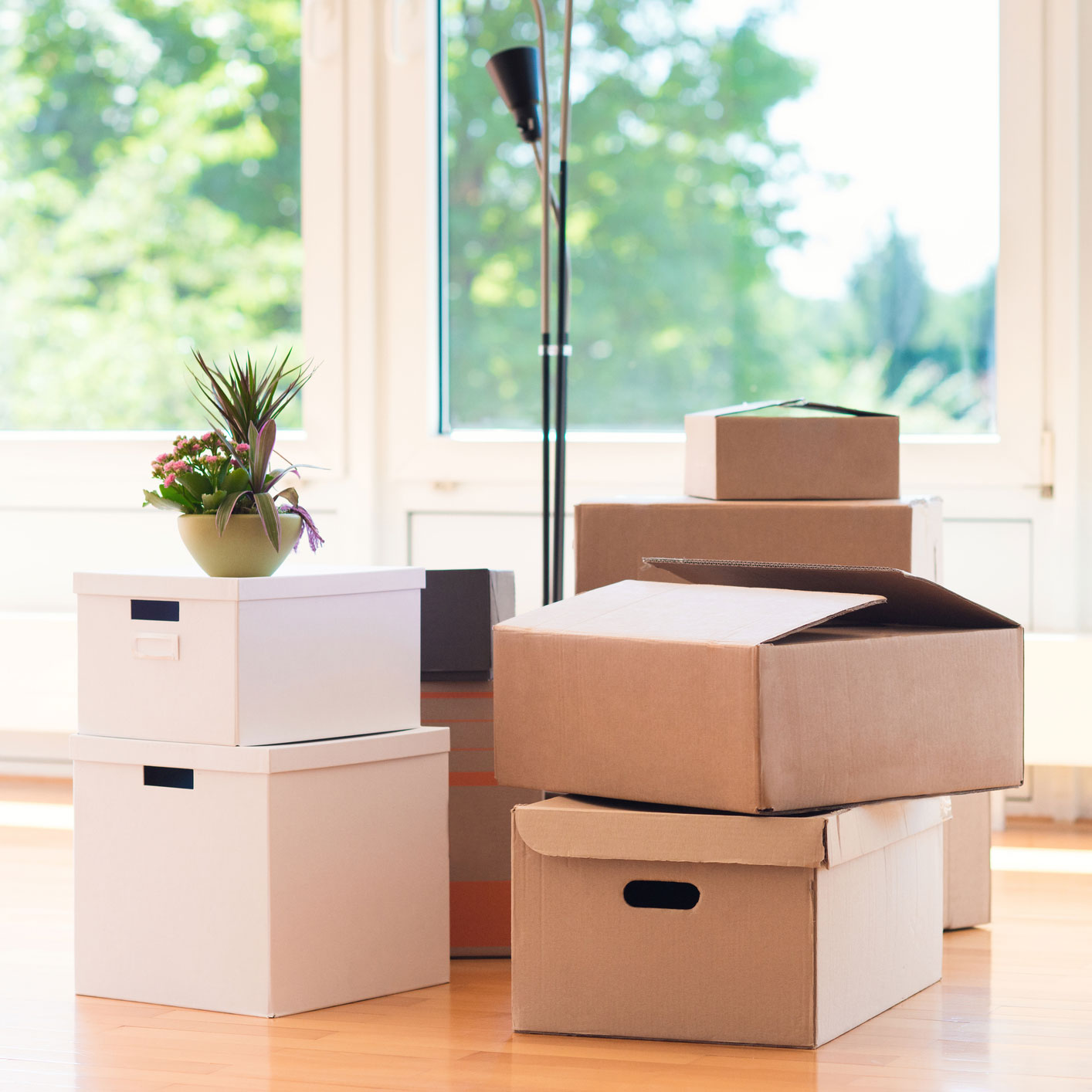 commercial office removals services